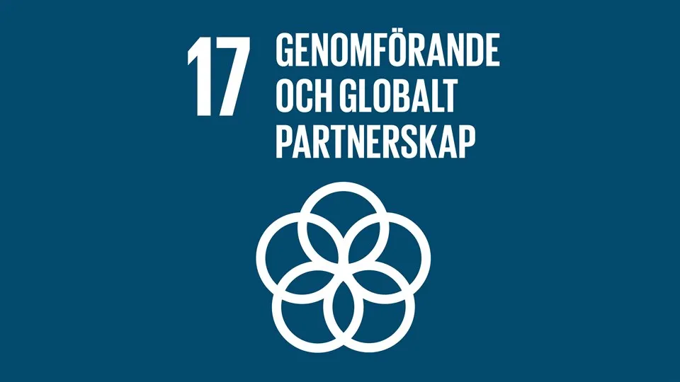 Globala målen