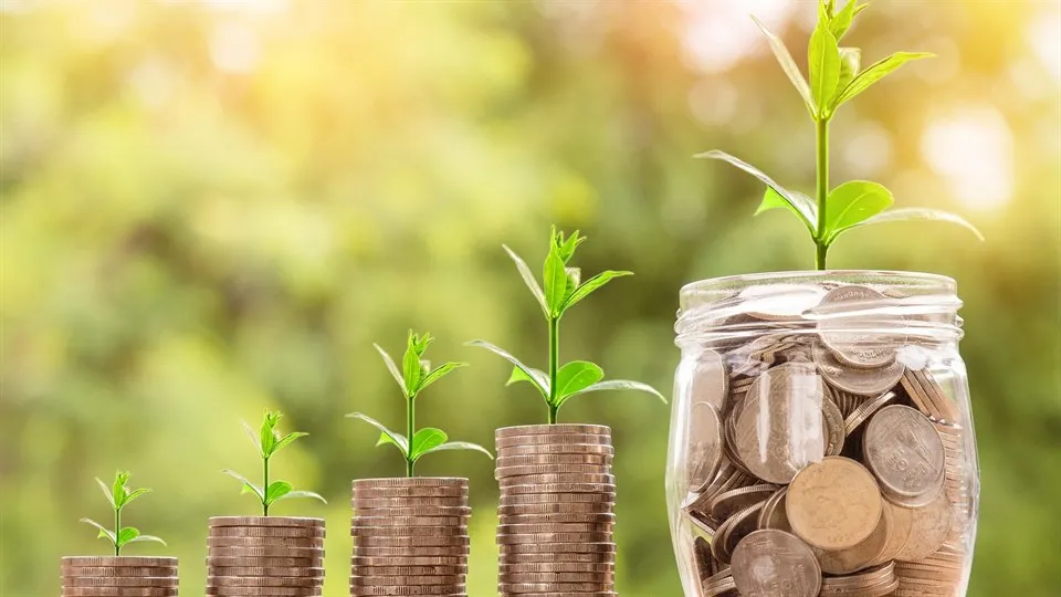 Coins in piles, which grow in step with a plant in an outdoor environment