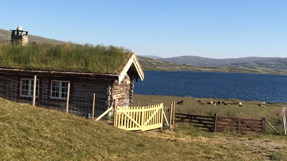 Fjällstuga