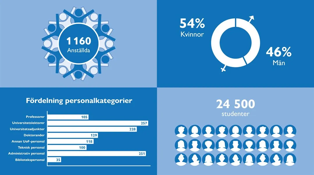 Infographic över anställda och studenter 
